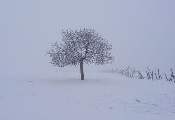 روستای جوبن، جوبن شهرستان رودبار، جوبن گیلان،جوبن رستم آباد، روستای جوکین، جوبن کجاست؟ 